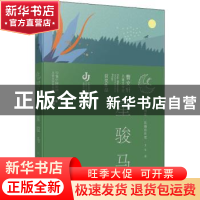 正版 星骏马 王军著 江苏凤凰少年儿童出版社 9787558426865 书籍