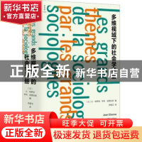 正版 多维视域下的社会学手册