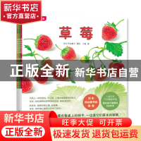 正版 草莓 (日)平山和子著绘 新星出版社 9787513346788 书籍