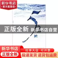 正版 52赫兹鲸 关聪慧[著] 长江文艺出版社 9787535491060 书籍