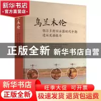 正版 乌兰木伦-鄂尔多斯旧石器时代中期遗址发掘报告