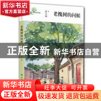正版 老槐树的问候 张之路著 希望出版社 9787537979788 书籍