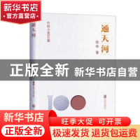 正版 通天河 徐坤著 北京联合出版公司 9787559670939 书籍