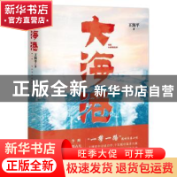 正版 大海港 王海平著 中国言实出版社 9787517145844 书籍