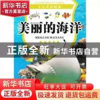 正版 美丽的海洋 张哲编著 现代出版社 9787514308976 书籍
