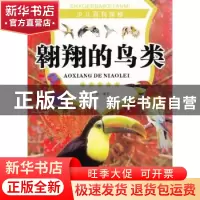正版 翱翔的鸟类 张哲编著 现代出版社 9787514308921 书籍