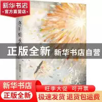 正版 冬日焰火 甲虫花花著 长江出版社 9787549286010 书籍