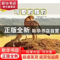 正版 可爱的猎豹 任任编著 浙江摄影出版社 9787551406437 书籍