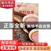 正版 茶叶故里 陈勇光著 五洲传播出版社 9787508545929 书籍