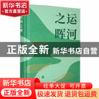 正版 运河之晖 苏宁著 长江文艺出版社 9787570231133 书籍