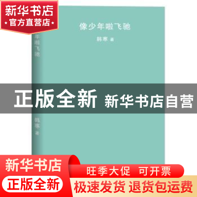 正版 像少年啦飞驰 韩寒著 天津人民出版社 9787201126203 书籍