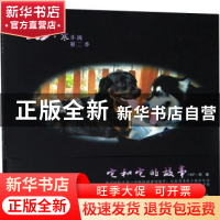 正版 它和它的故事 XY·寒著 长江文艺出版社 9787570205417 书籍