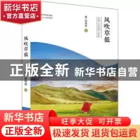 正版 风吹草低 娜仁琪琪格著 长江文艺出版社 9787570211975 书籍