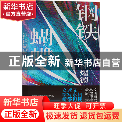 正版 钢铁蝴蝶 林燿德[著] 九州出版社 9787522518053 书籍