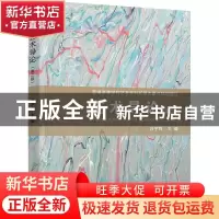 正版 艺术导论 段宇辉主编 清华大学出版社 9787302552659 书籍