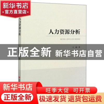 正版 人力资源分析 王桢 中国时代经济出版社 9787511930170 书籍