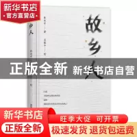 正版 故乡人 张永中著 湖南人民出版社 9787556134052 书籍
