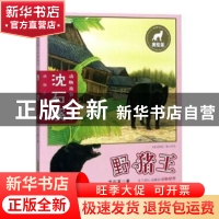 正版 野猪王 沈石溪著 安徽少年儿童出版社 9787570702633 书籍