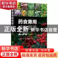 正版 药食兼用植物图鉴230种 任全进,严辉,廖盼华 化学工业出版社