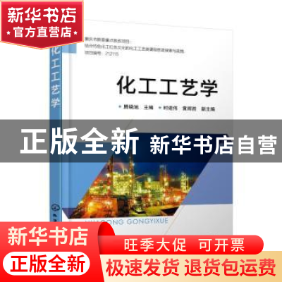 正版 化工工艺学 腾晓旭,时建伟,黄辉胜 化学工业出版社 97871224