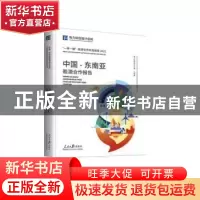 正版 中国-东南亚能源合作报告 电力规划设计总院 人民日报出版社