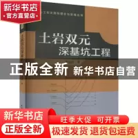 正版 土岩双元深基坑工程 李连祥 中国建筑工业出版社 9787112278
