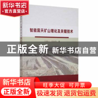 正版 智能露天矿山理论及关键技术 付恩三,刘光伟著 东北大学出