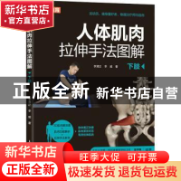 正版 人体肌肉拉伸手法图解 下肢 李清正,李威 人民邮电出版社 97