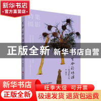 正版 生命的功课:杨珊摄影诗集 杨珊 中国言实出版社 97875171409