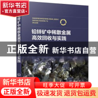 正版 铅锌矿中稀散金属高效回收与实践 邓政斌,童雄著 化学工业