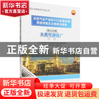 正版 天然气生产场所HSE监督检查典型问题及正确做法图集(第3分册