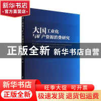 正版 大国工业化与矿产资源消费研究 梁姗姗,杨丹辉 经济管理出版