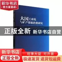 正版 大国工业化与矿产资源消费研究 梁姗姗,杨丹辉 经济管理出版