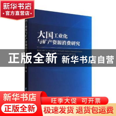 正版 大国工业化与矿产资源消费研究 梁姗姗,杨丹辉 经济管理出版