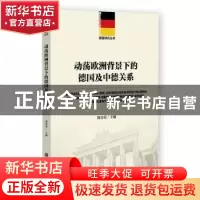 正版 动荡欧洲背景下的德国及中德关系 郑春荣 社会科学文献出版