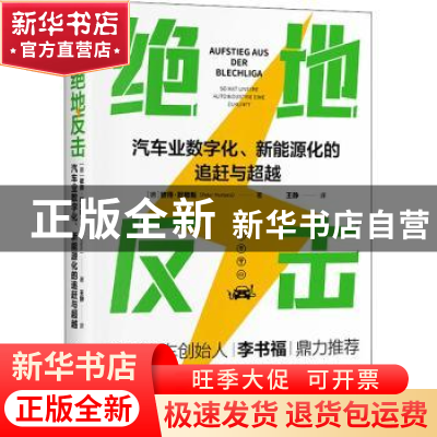 正版 绝地反击:汽车业数字化、新能源化的追赶与超越 [德]彼得·默