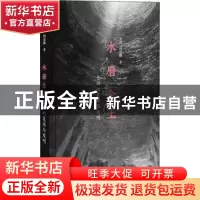 正版 水磨金土:金砖的复原与发明 金瑾周震麟 文汇出版社 97875