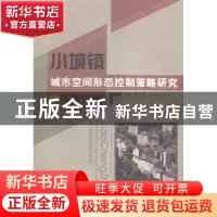 正版 小城镇城市空间形态控制策略研究与实证分析 陈萍著 中国水