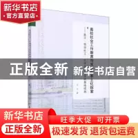 正版 高校社会工作教育与实践的本土化探索:基于“青学社工”大学