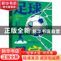 正版 足球是宝:第二部:真心英雄 鞠文堂 中国言实出版社 978751