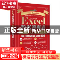 正版 Excel数据透视表应用大全for Excel 365 & Excel 2019 Excel