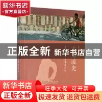 正版 古厝流光 泉州古城保护发展工作协调组办公室编 海峡文艺出
