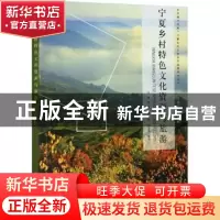 正版 宁夏乡村特色文化资源与旅游 邹荣主编 阳光出版社 97875525