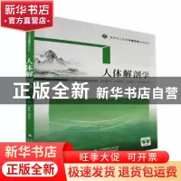 正版 人体解剖学 孟繁伟,郭新庆 中国医药科技出版社 97875214317