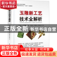 正版 玉雕新工艺技术全解析 王豪 中国地质大学出版社 978756254