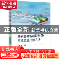 正版 基于图像智能识别的河流流量计算方法 陈华 电子工业出版社