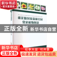 正版 桃花源国家森林公园常见植物图谱 李镇江,黄国忠编著 阳光