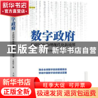 正版 数字政府:开辟国家治理现代化新境界 王伟玲 人民邮电出版