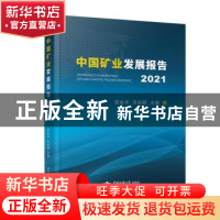 正版 中国矿业发展报告(2021) 成金华 汤尚颖 中国地质大学出版