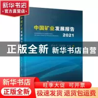 正版 中国矿业发展报告(2021) 成金华 汤尚颖 中国地质大学出版